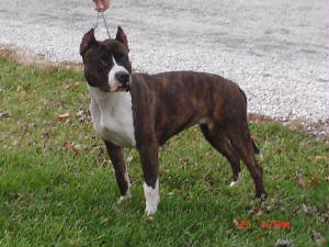 112706priss018.jpg