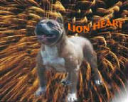lionheart.jpg