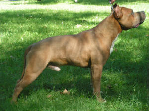 pict0089.jpg