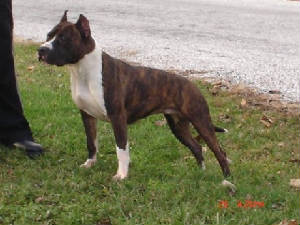 priss06.jpg