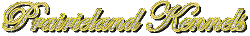 115375240453594.gif