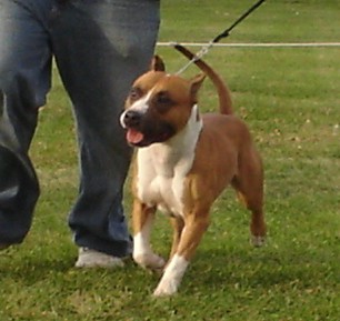 dunlap06024.jpg