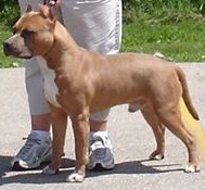 ixonia64060020.jpg