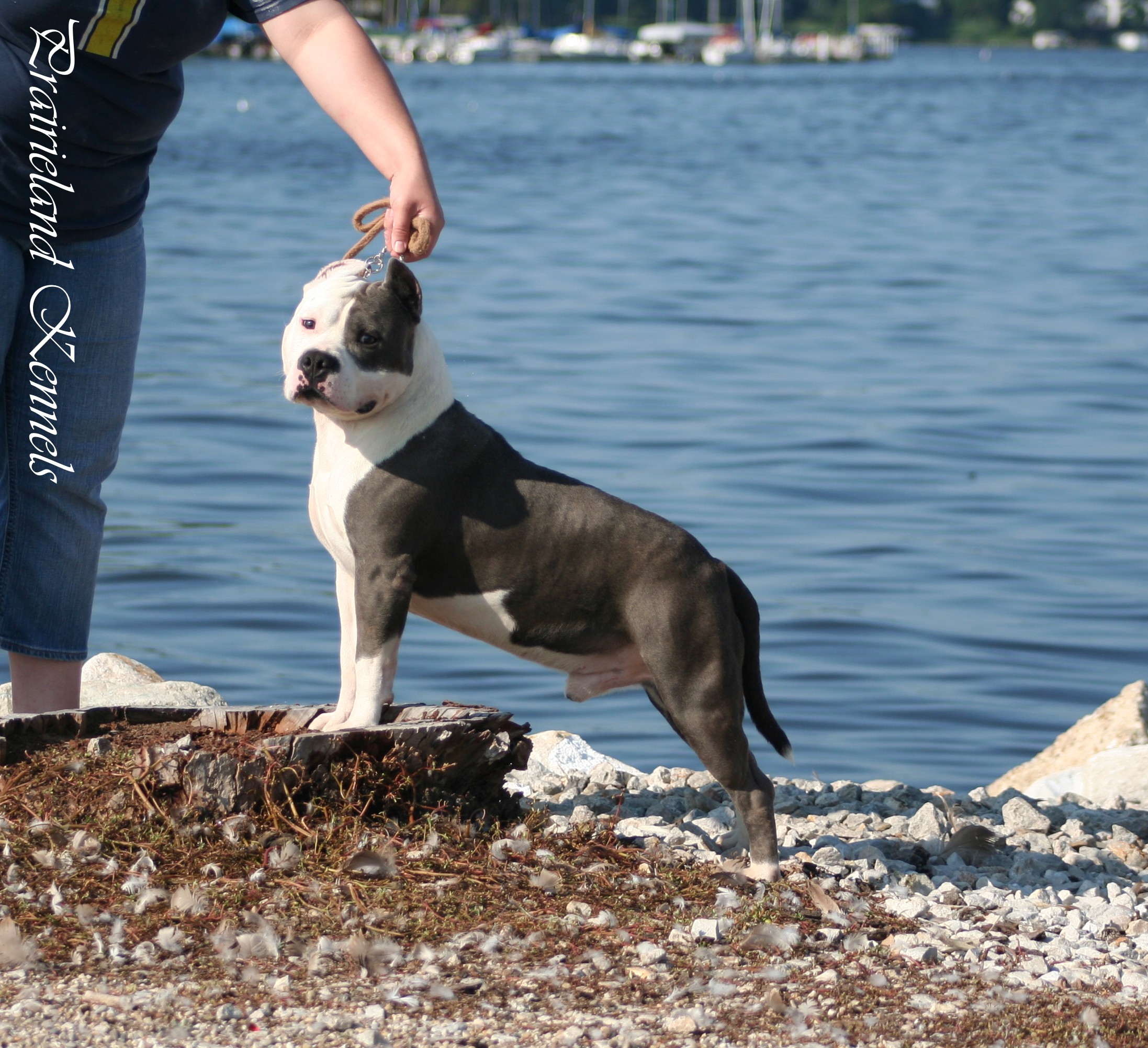 lake_pics042.jpg