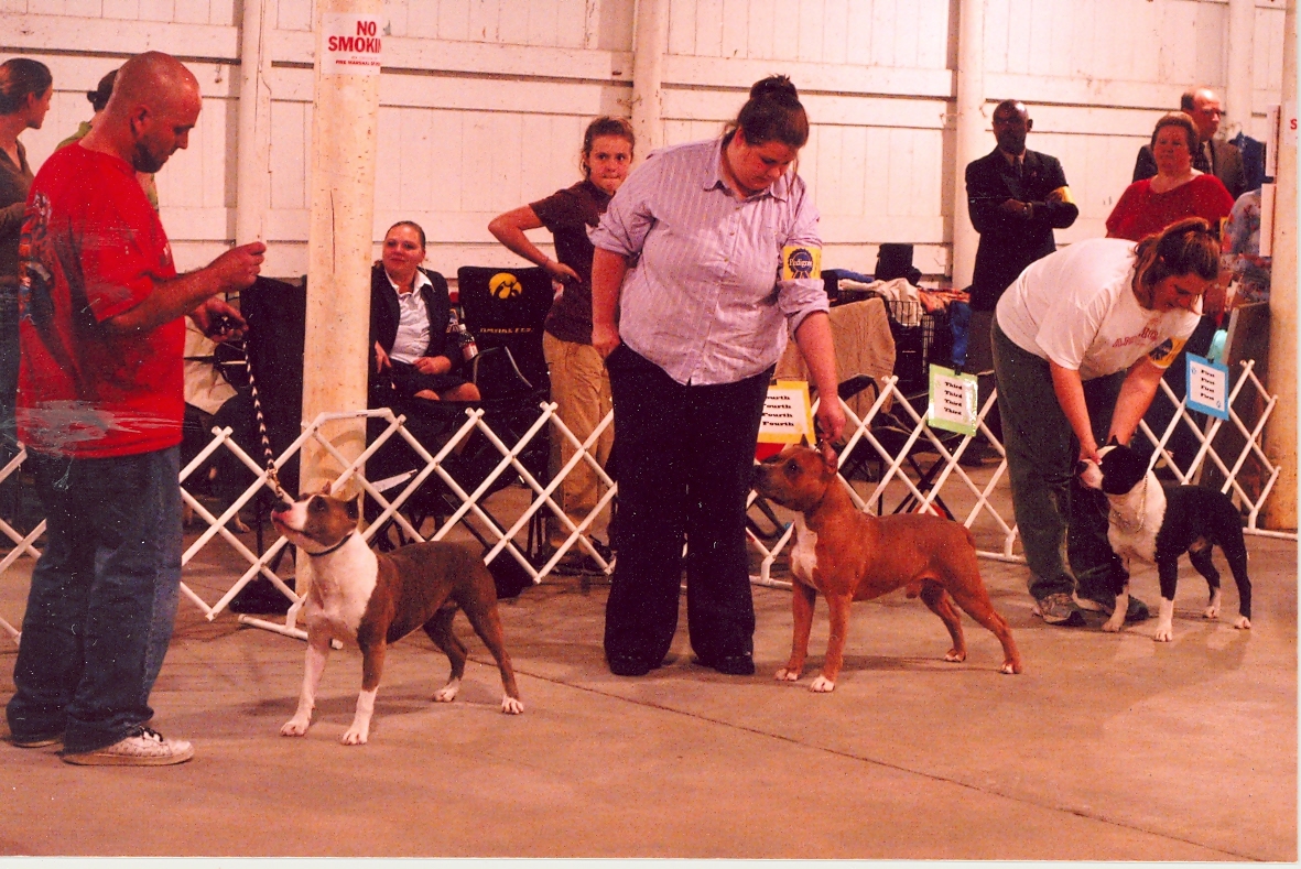 scan0004.jpg